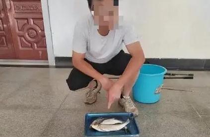 武汉男子因钓3条鱼被刑事拘留，是否处罚过重？律师揭秘禁渔区禁止使用的工具